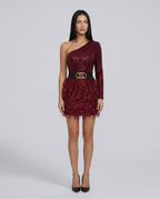 Eva One Shoulder Sequin Feather Trim Mini Dress - Red