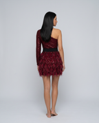 Eva One Shoulder Sequin Feather Trim Mini Dress - Red