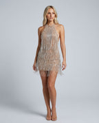 Nora Silver Beaded Mesh Sleeveless Halter Mini Dress - Silver