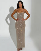 Quinn Sequin Mesh Sleeveless Column Maxi Dress - Silver
