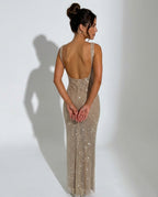 Quinn Sequin Mesh Sleeveless Column Maxi Dress - Silver