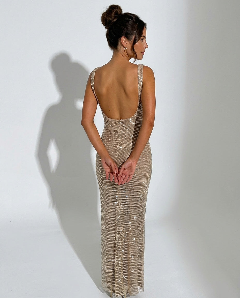 Quinn Sequin Mesh Sleeveless Column Maxi Dress - Silver