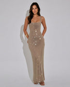 Quinn Sequin Mesh Sleeveless Column Maxi Dress - Silver